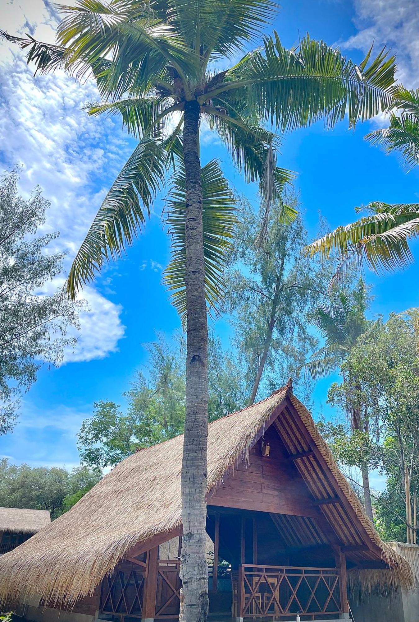 Saja Cottage, Gili Meno Εξωτερικό φωτογραφία